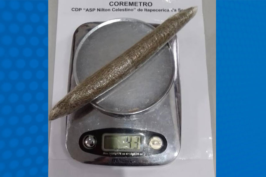 Divulgação