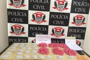 Divulgação