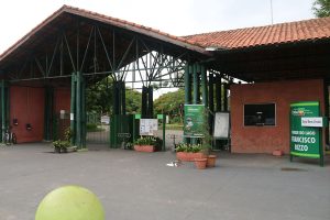 Eduardo Toledo