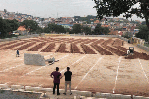 Divulgação
