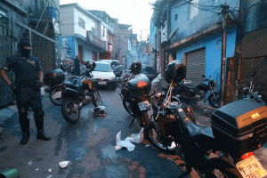 Reprodução