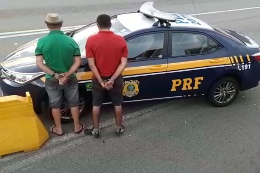 Divulgação