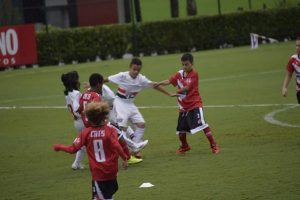 Divulgação