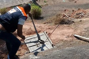 Divulgação