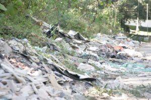 Thiago Neme | Gazeta de S.Paulo