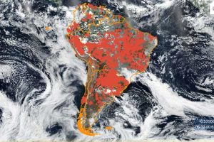 Reprodução | NPP