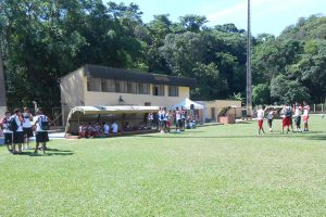 Blog Valente Cão Pastor