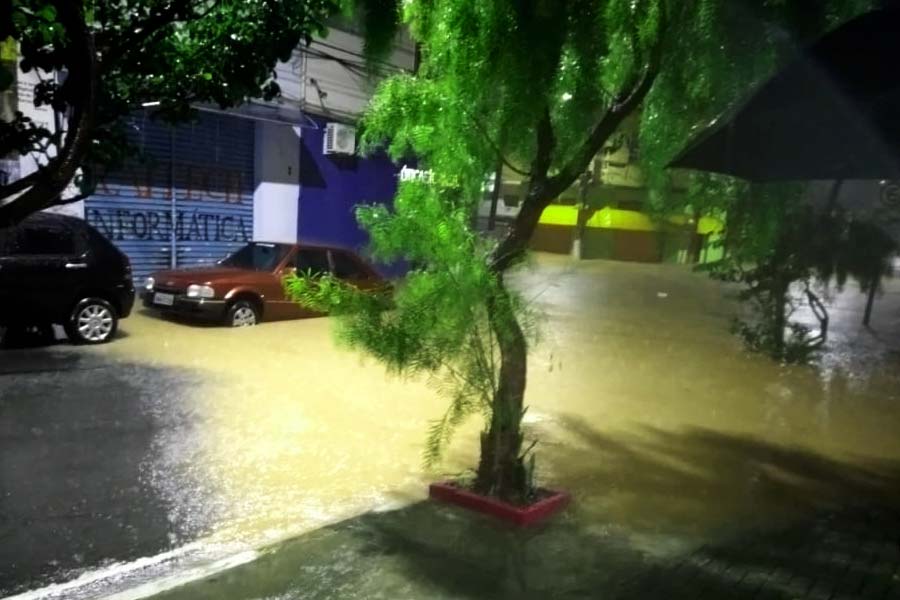 Reprodução