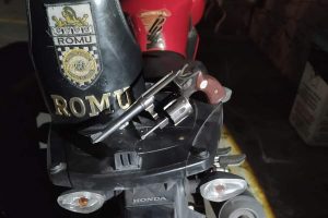 Reprodução
