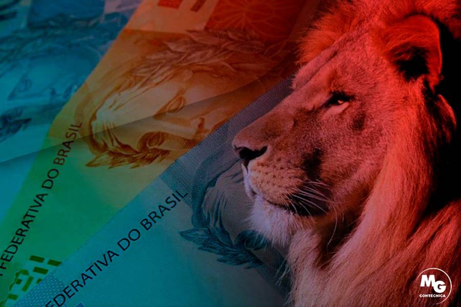 Divulgação | MG Contécnica