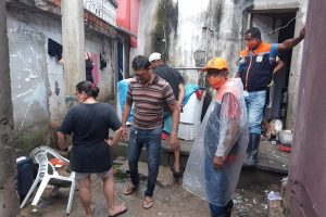 Reprodução