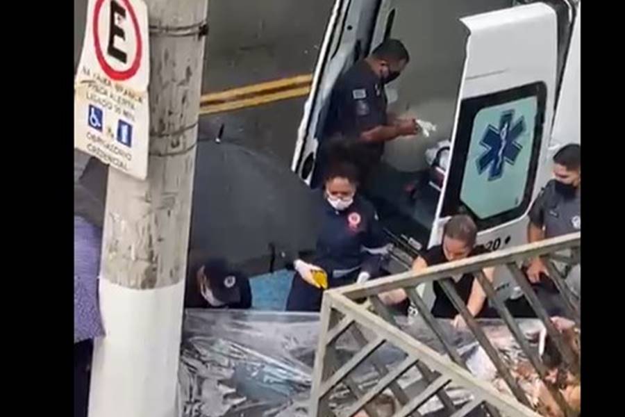 Reprodução