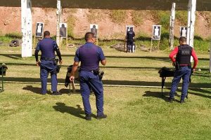 Divulgação | PMTS