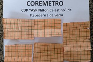 Divulgação | SAP
