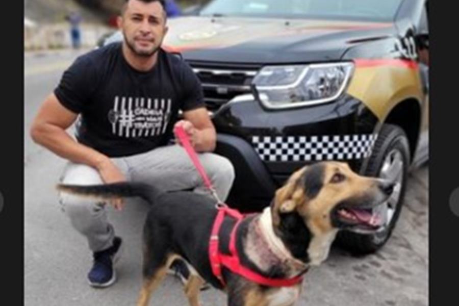 Reprodução | Redes sociais