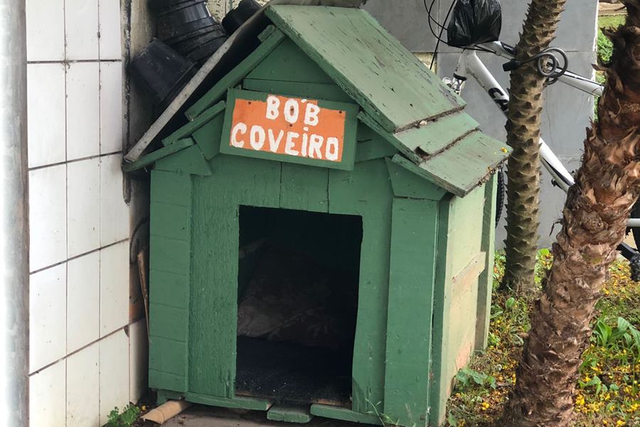 Divulgação