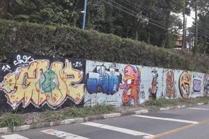 Divulgação
