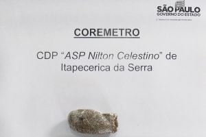 Divulgação | SAP