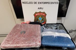 Divulgação