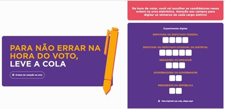 Reprodução | TSE
