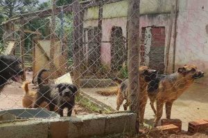 Divulgação/Polícia Civil