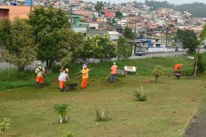 Divulgação | PMIS