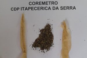 Divulgação | SAP