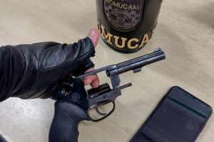 Divulgação
