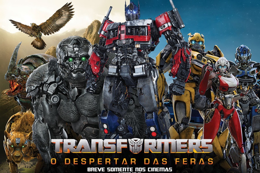 Divulgação