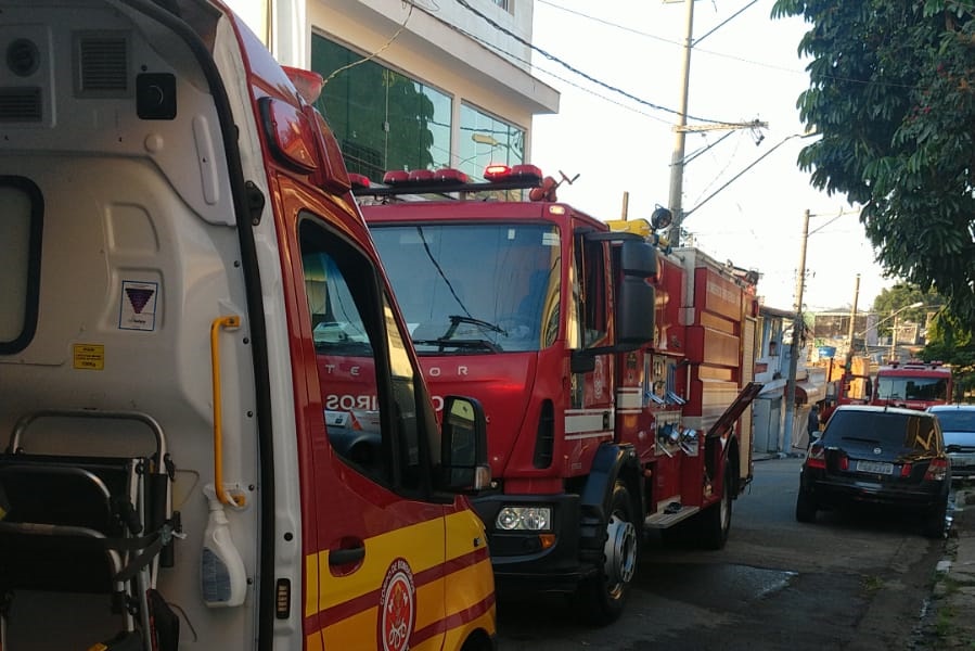 Reprodução
