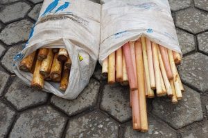Divulgação | Polícia Ambiental