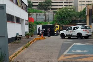 Divulgação