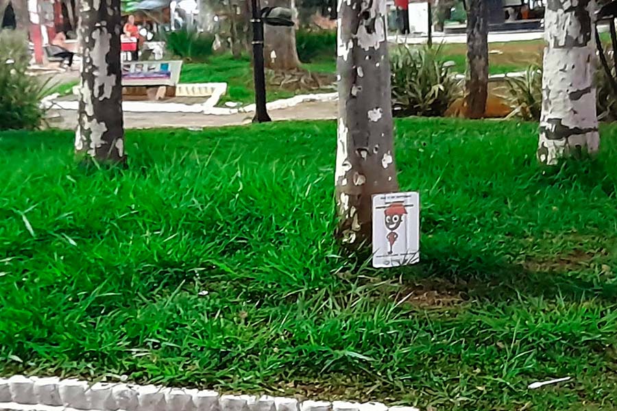 Divulgação