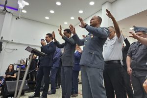 Divulgação
