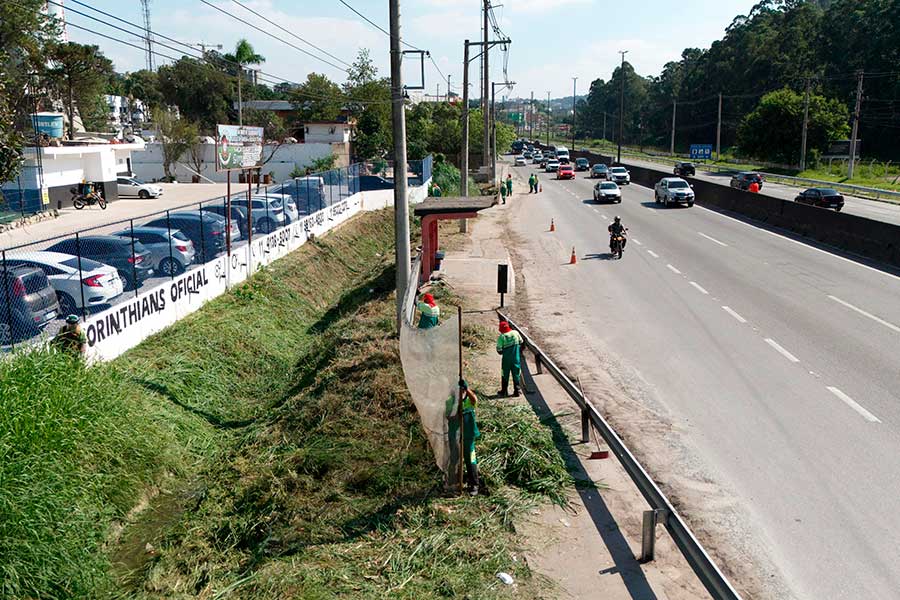 Divulgação