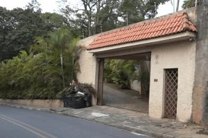 Divulgação