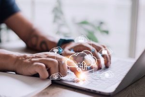 Divulgação | SDE