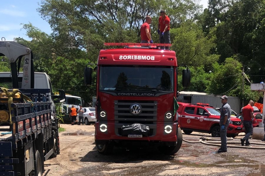 Divulgação