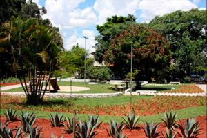 O Taboanense