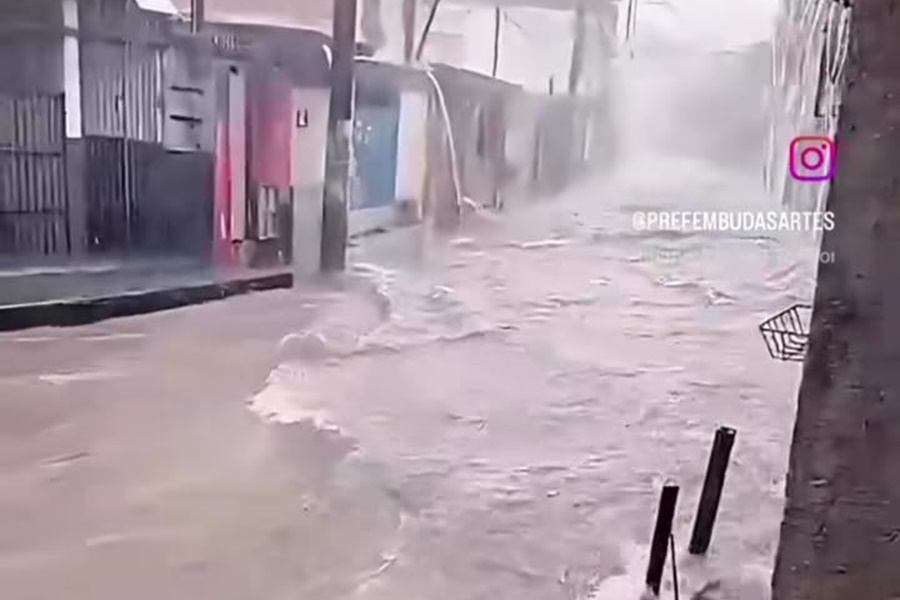 Reprodução