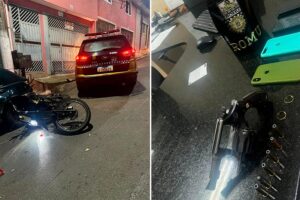 Reprodução