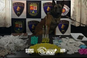 Divulgação | PMESP
