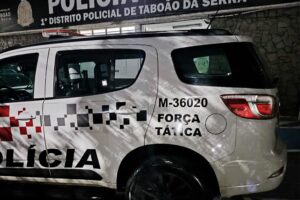 Divulgação