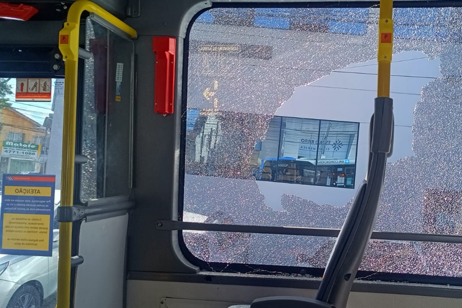 Divulgação
