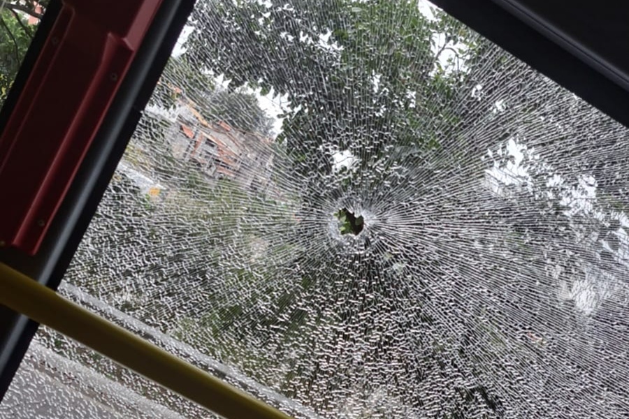 Divulgação