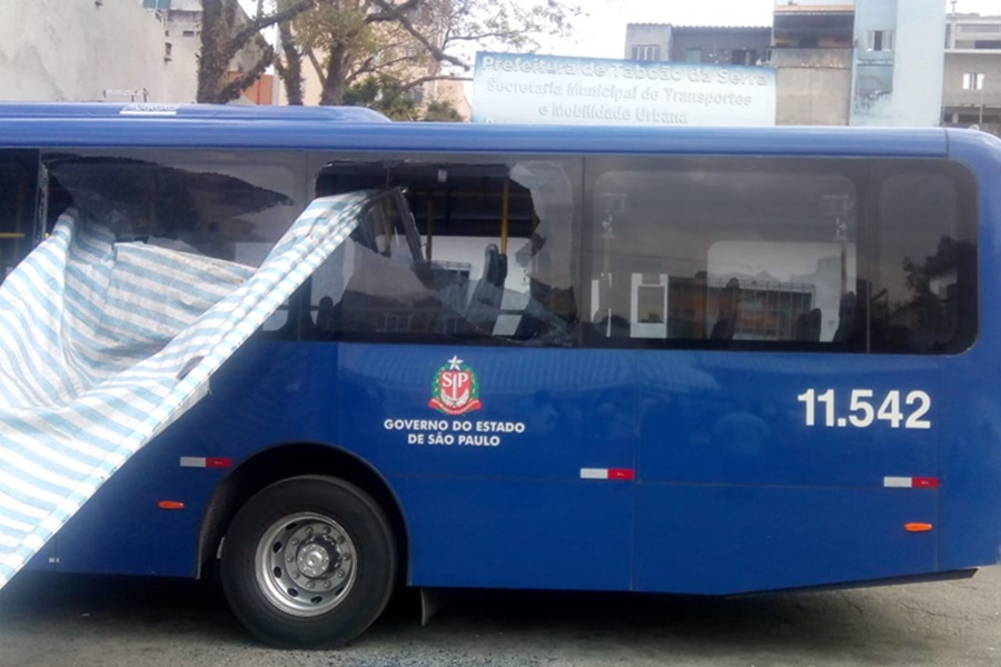 Divulgação