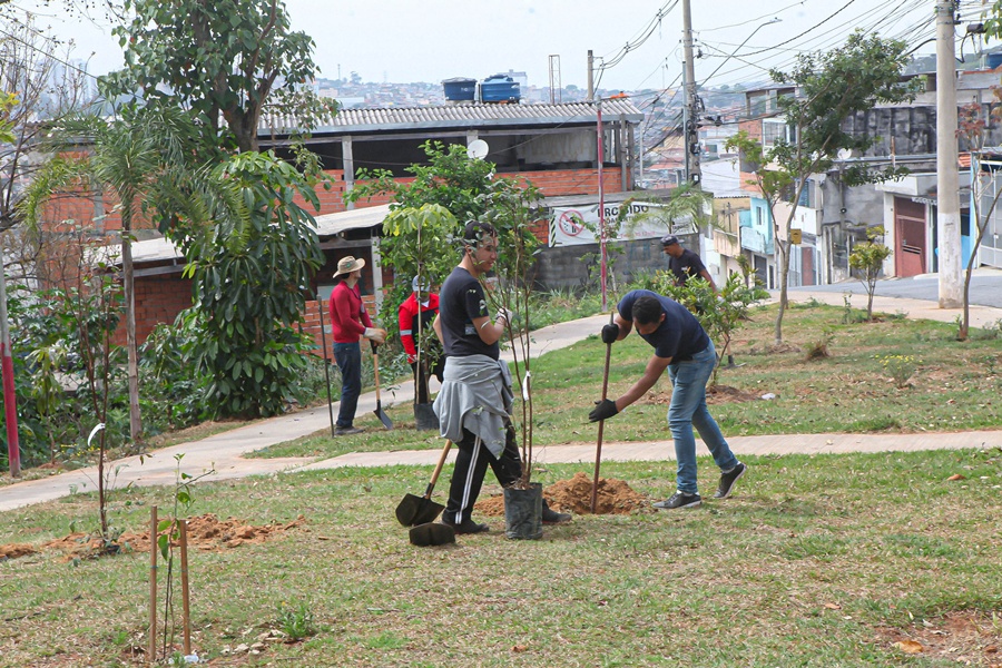 Antonia Alves | Secom | PMTS