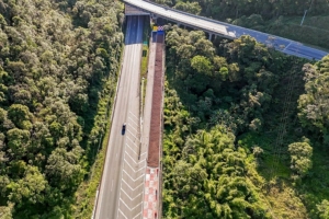 Divulgação | Arteris