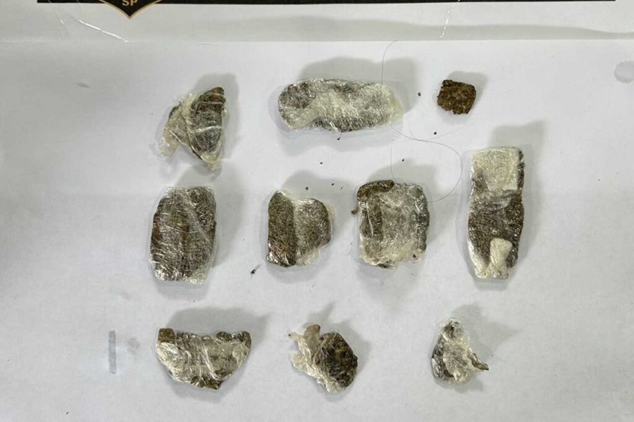 Divulgação | SAP SP