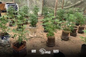 Divulgação | PMESP